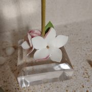 IMG_20250531_095524